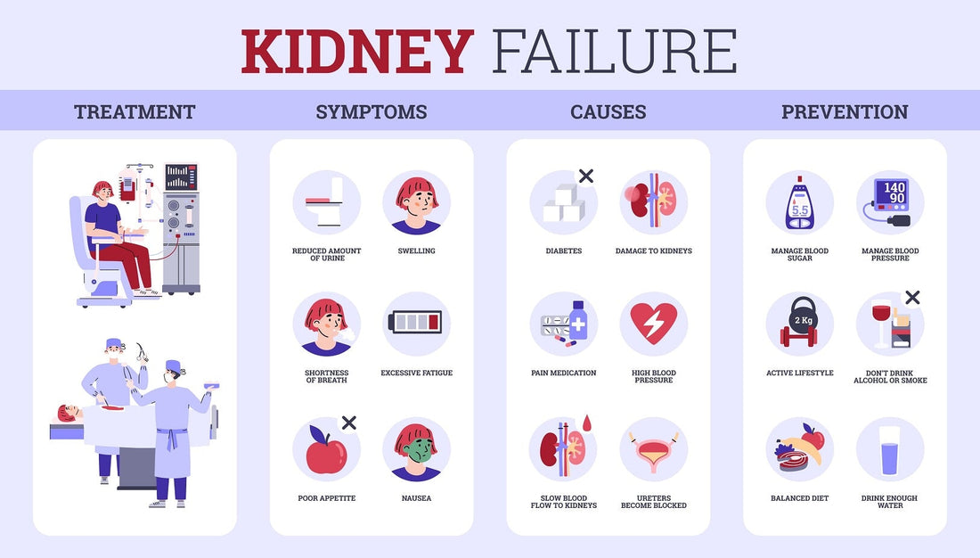 Kidney disease chart