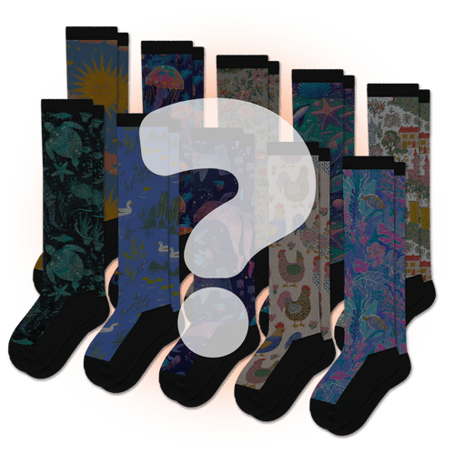 Mystery EasyStretch™ Socks Bundle 10-Pack