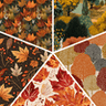 Fall Foilage