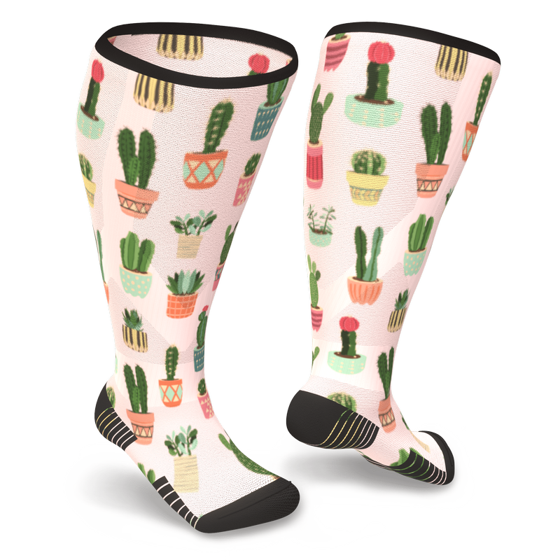 cactus compression socks 