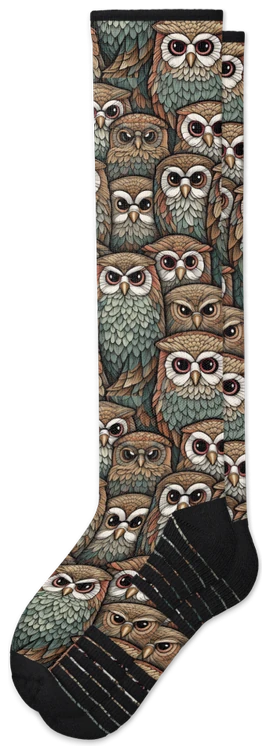 Wise Eyes
