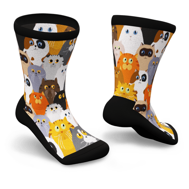 Socks with cats on them